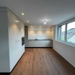 Erstvermietung: 4.5 Zimmer Wohnung (1OG Ost) 110m2 mit Loggia und Terrasse